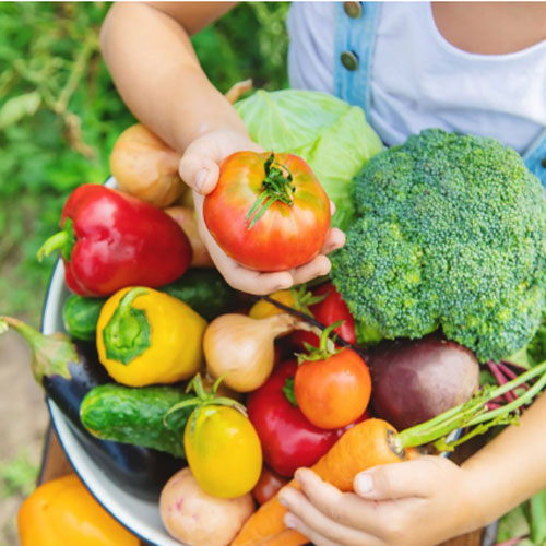 Fresh Vegetables